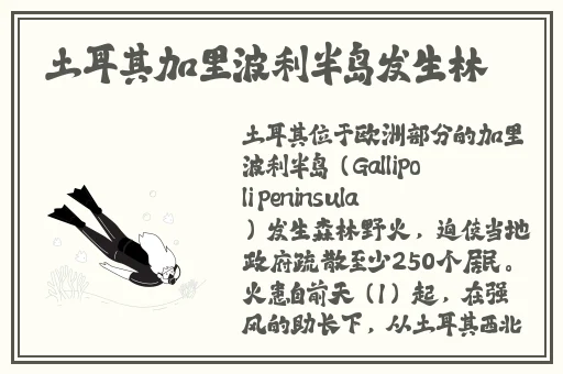国产精品亚洲第一区在线观看